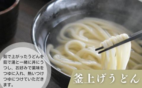 うどん さぬきうどん 半生 つゆパック付 18人前