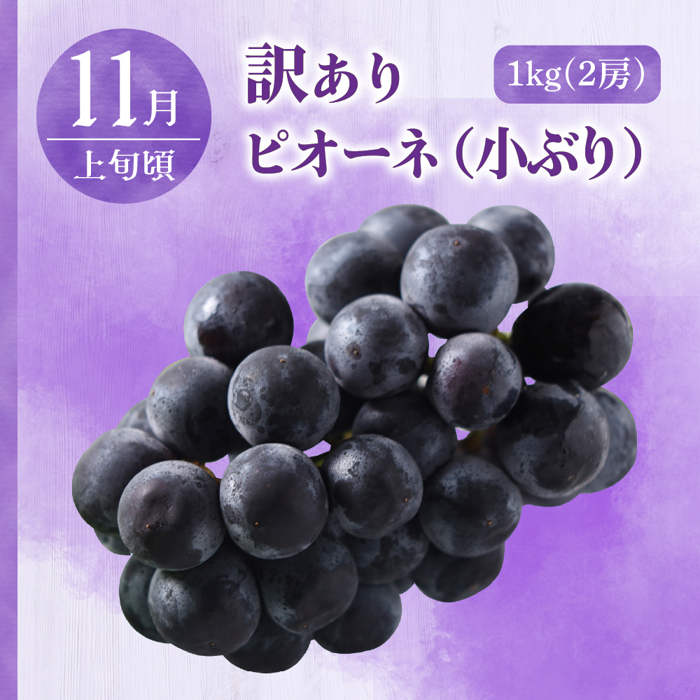 【2025年7月発送開始】 おいしい3種類☆フルーツ定期便【3回】（訳ありセット）緑肉メロン、ぶどうピオーネ、りんご