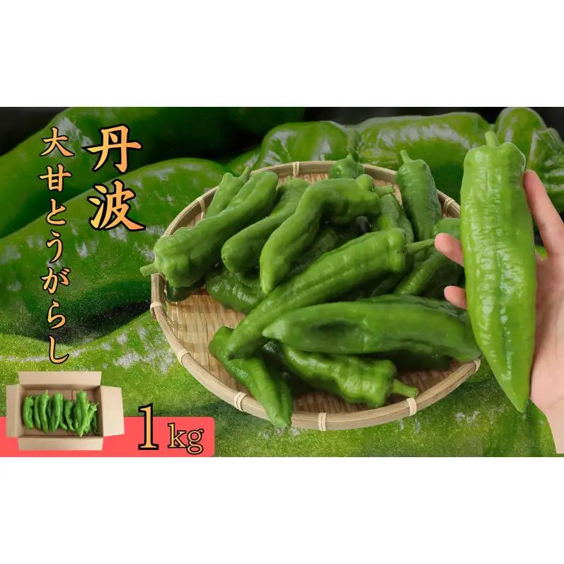 とうがらし 丹波大甘とうがらし 1kg とうがらし