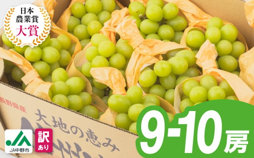 【2026年発送】【訳あり】JA中野市のシャインマスカット　約5kg(9房～10房)【1759343】
