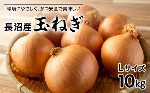 
            【先行予約】北海道長沼産玉ねぎＬサイズ10kg(2025年11月下旬発送開始予定)
          