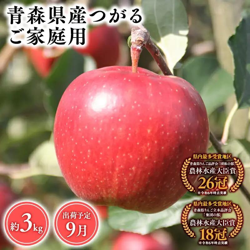 りんご 家庭用 つがる3kg【hi-0053-011】