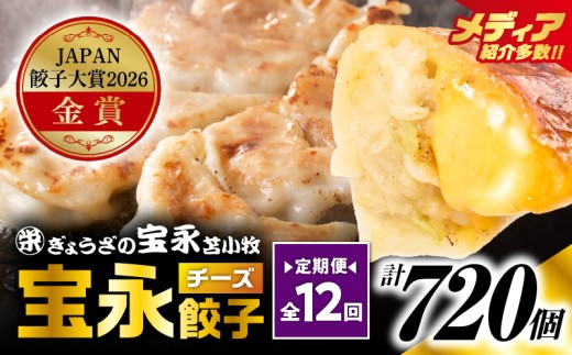 【定期便・全12回 毎月】【JAPAN餃子大賞2026（TM） 通販餃子 金賞受賞】手包み餃子 ぎょうざの宝永 チーズ餃子60個セット（チーズ餃子15個入×4袋）　T004-T08-03-05