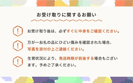 2色の小玉すいか 令和8年産 no-suwck2