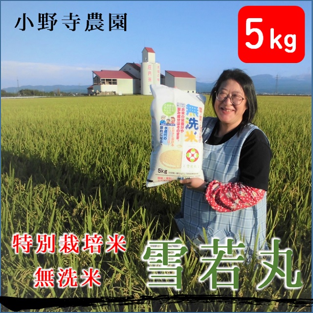 【令和5年産・精米】小野寺農園の【無洗米】雪若丸5kg