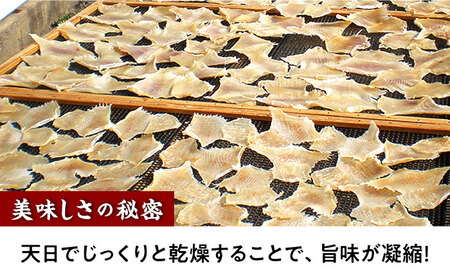 【3回定期便】長崎県産えいひれ干　500ｇ / えいひれ エイヒレ おつまみ おかず / 大村市 / 株式会社ナガスイ[ACYQ053]