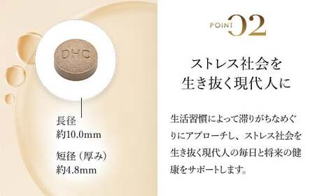 76163_DHC霊芝(れいし) 30日分 2個セット（60日分） MBB058
