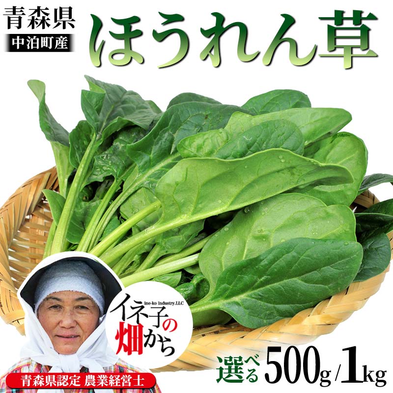 【ふるさと納税】【選べる容量】ほうれん草 約500g 約1kg【イネ子の畑から】 新鮮 産地直送 サラダ おひたし お味噌汁 スムージー ほうれん草 ジュース ほうれんそう F6N-287var
