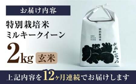 【全12回】米 ミルキークイーン 2kg 玄米 特別栽培米 [AQCP027]