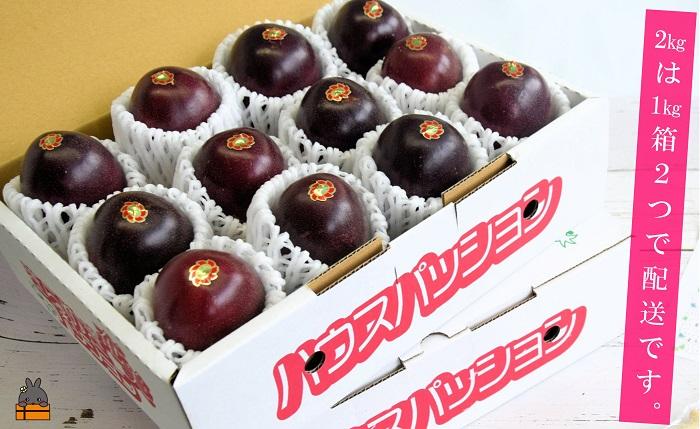 《今が旬！》とくのしま中島農園さんのパッションフルーツ2kg ( パッションフルーツ 果物 フルーツ 旬 トロピカルフルーツ 奄美 徳之島 鹿児島 美味しい 中島農園 )