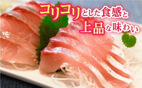 【コリコリ食感がたまらない！】新上五島町産 養殖 ヒラマサ （ヒラス） フィーレ 3枚おろし （カマ入り） 魚介類 鮮魚 【カミティバリュー】 [RBP006]