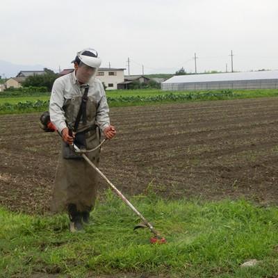 ふるさと納税 池田町 【令和6年産】特別栽培米 10kg【白米】(ハツシモ) |  | 02