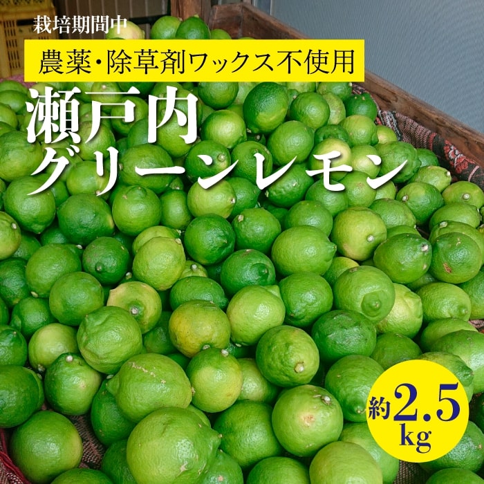 【ふるさと納税】レモン 【先行受付】【2025年10月以降発送】【栽培期間中 農薬・除草剤不使用】離島 佐木島！グリーンレモン 約2.5kg 広島 三原 佐木島 鷺島みかんじま 017061