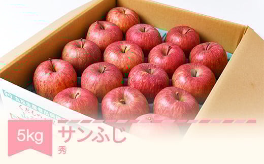 【先行予約】りんご サンふじ 約5kg 秀品 リンゴ 林檎 令和7年産 2025年産 果物 山形県産 mm-risfs5