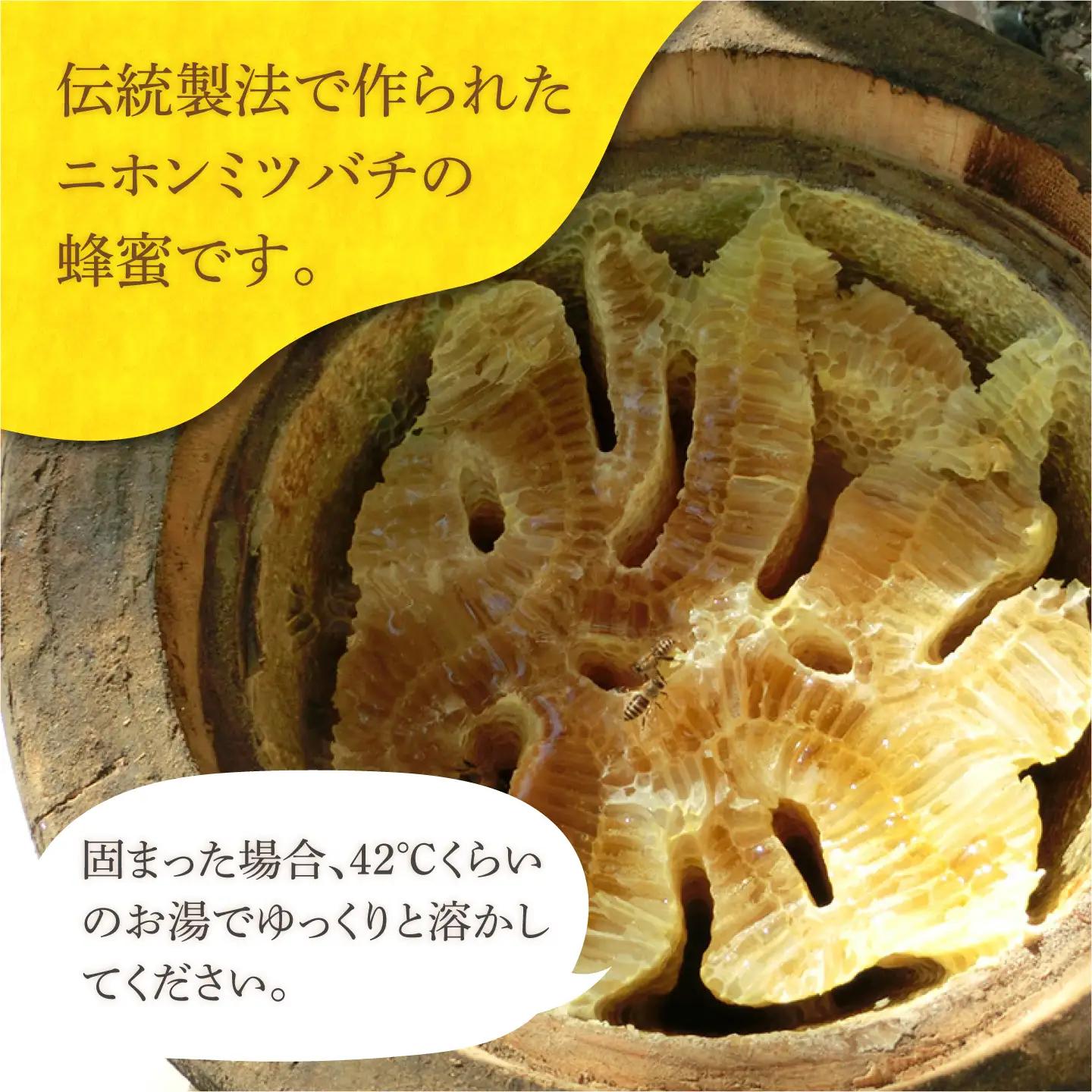 対馬 和蜂 はちみつ 45g×1本 《対馬市》【特定非営利活動法人 對馬次世代協議会（対馬コノソレ）】 蜂蜜 ハチミツ 日本ミツバチ ニホンミツバチ[WAM032]