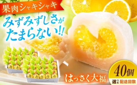 【全12回定期便】お菓子 はっさく大福20個入×2 お菓子 大福 八朔 柑橘 みかん オレンジ 餅 ギフト お取り寄せ スイーツ フルーツ大福 ご当地 菓子 おかし デザート 食品 人気 おすすめ 広島県 柑橘 瀬戸内 果汁 爽やか 広島県産 特産品 産地直送 お取り寄せ 贈り物 ギフト 贈答品 絶品  和菓子 福山グルメ  定期便 広島県福山市/株式会社虎屋本舗[BADH036]
