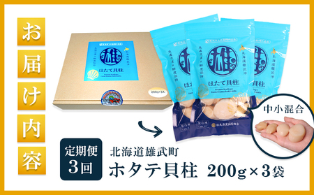 【定期便3回】　北海道雄武町産ほたて貝柱 中小混合 200g×3 (冷凍) 使い切りパック【07137】