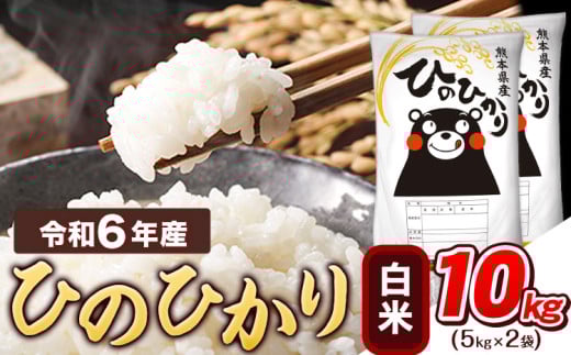 令和6年産  白米 ひのひかり 10kg 《7-14営業日以内に出荷予定(土日祝除く)》令和6年産 熊本県産 ふるさと納税 精米 ひの 米 こめ ふるさとのうぜい ヒノヒカリ コメ お米 おこめ