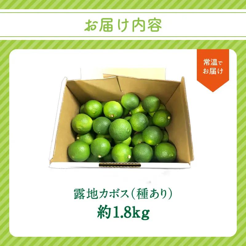 【期間限定9月末まで】大分の露地カボス 約1.8kg C09022