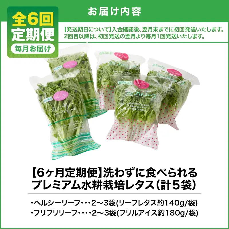 1627-2 【 全6回 定期便 】洗わずに食べられる プレミアム 水耕栽培 レタス セット（ 計5袋 ） KN064-T02 野菜