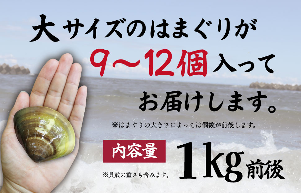 三重県産 活きはまぐり 大サイズ １kg 【しもい水産】はまぐり ハマグリ 天然はまぐり 活はまぐり 天然 砂抜き ふるさと納税 ふるさと 人気 網焼き 酒蒸し お吸い物 バーベキュー BBQ  sm