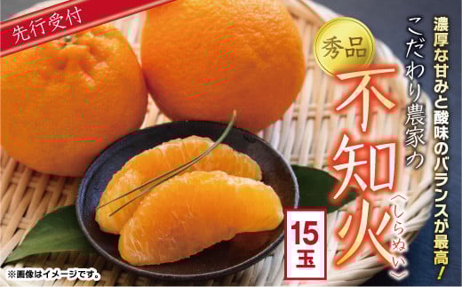 
            【先行予約】数量限定 こだわり農家の秀品 不知火 15玉 （ 大玉 ） ／ しらぬい 果物 フルーツ ギフト 贈り物 プレゼント 柑橘 くだもの【2026年4月上旬より発送開始予定】
          