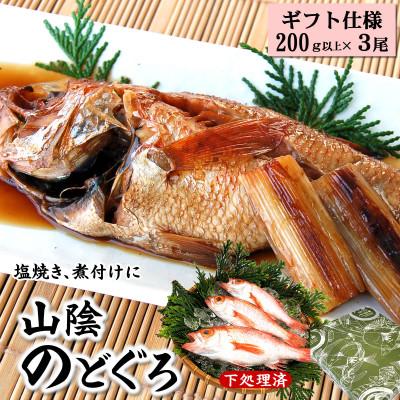 ふるさと納税 新温泉町 【2025年4月下旬発送】山陰ノドグロ　200g以上×3尾(化粧箱入)下処理済 | 