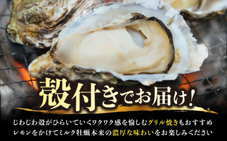 江田島ミルク牡蠣 殻付き 25個 加熱用 かき 広島県産 カキ 貝付き牡蠣 海鮮 贈呈用 BBQ 濃厚 新鮮 蒸し牡蠣 焼き牡蠣 グリル焼き 丸杉水産/江田島市[XCY003]