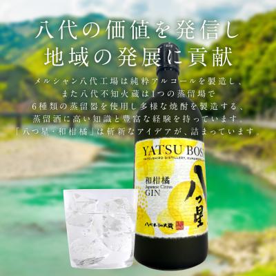 ふるさと納税 八代市 八代不知火蔵「八つ星・和柑橘(クラフトジン)」700ml×3本_133-6475 |  | 02