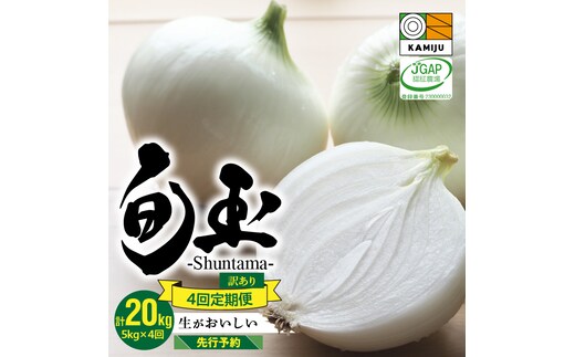 
										
										訳あり 新玉ねぎ 定期便 5kg×4回 生がおいしい 神重農産のブランド玉ねぎ「旬玉」 H105-129
									