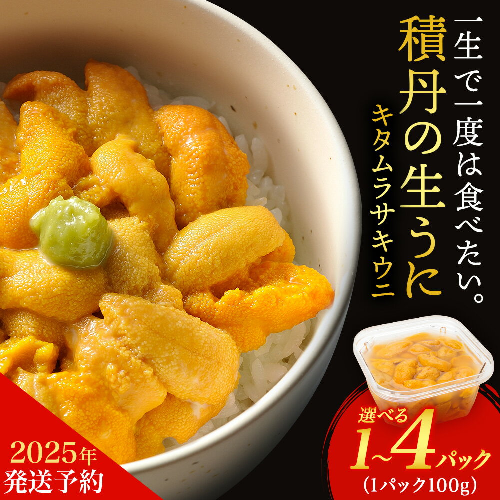 【ふるさと納税】【2025年夏発送分】ムラサキウニ 選べる1パック～4パック 1パック100g 大川商店北海道ふるさと納税 積丹町 ふるさと納税 海鮮 北海道 キタムラサキウニ 塩水 むらさきうに 海鮮 うに 生うに 北海道 うに 雲丹 通販 ギフト ウニ　うに 2025年
