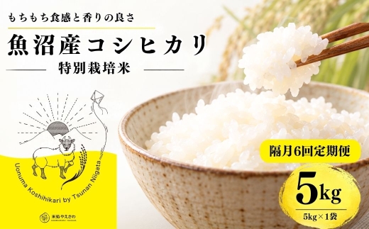 【隔月全6回 定期便】【令和8年産 コシヒカリ】魚沼産コシヒカリ 特別栽培米 5kg(5kg×1袋) | 新潟県産コシヒカリ 魚沼産こしひかり 米 お米 こしひかり 白米 精米 ブランド米 津南町 米処やえざわ