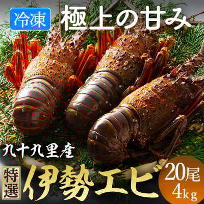 
            【4/15～発送開始】伊勢海老 活け〆リキッド冷凍 刺身用 20尾 約4kg 九十九里 新鮮 刺し身 刺身 さしみ 伊勢 海老 真空 冷凍  旨味 甘み 鮮度 美味しい 贅沢 ご褒美 豪華 ギフト プレゼント 贈答  贈答用 記念日 家族 友人 パーティー 食事会 お祝い 祝い 送料無料 ふるさと納税 不動丸 千葉県 旭市
          