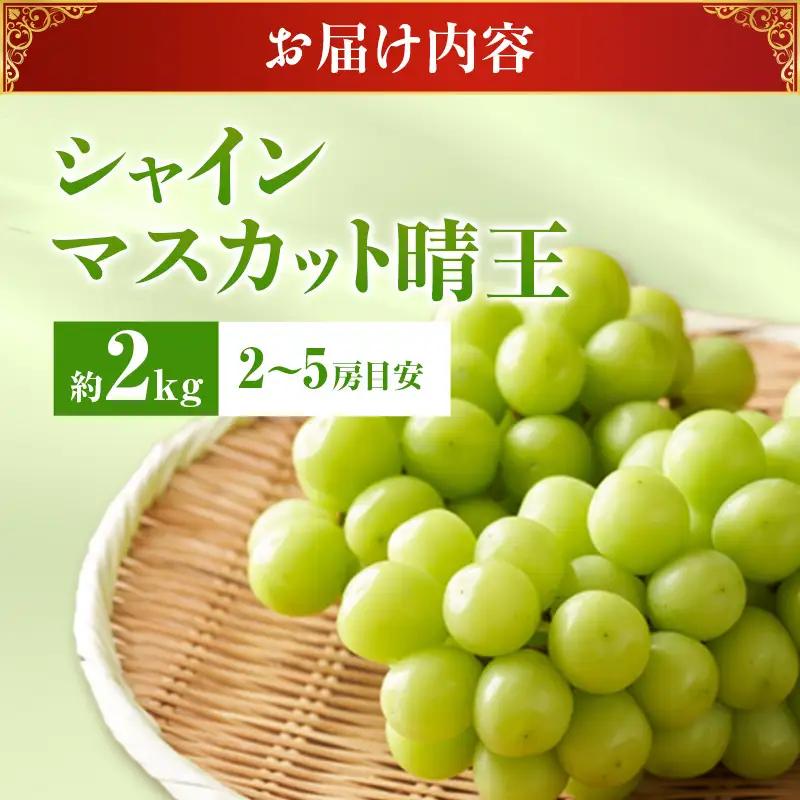 【2026年先行受付】 シャインマスカット 晴王 秀品 大房 約2kg(2～5房） 岡山県産 シャインマスカット