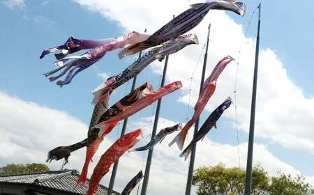 鯉のぼり（制覇3ｍ6点セット） 鯉のぼり セット 端午の節句 子供 お祝い 特別 福岡県 柳川市