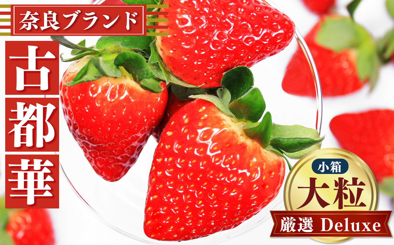 
            奈良のいちご「古都華～ことか～」大粒厳選 Deluxe（小箱） ※12月下旬頃～3月下旬頃に順次発送予定　※北海道・沖縄・離島対応不可 | フルーツ くだもの 果物 いちご イチゴ ことか コトカ 古都華 奈良県 五條市
          