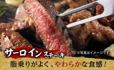 A5ランク サーロイン ステーキ 220g×2枚 ロース スライス 300g しゃぶしゃぶ セット 長崎和牛【肉のあいかわ】 [NA60] ロース サーロインステーキ 肉 ロース サーロインステーキ 