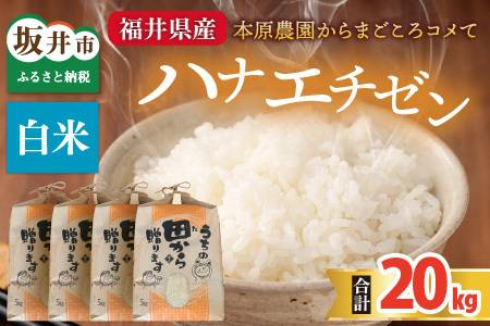【先行予約】【令和8年産・新米】 ハナエチゼン20kg(5kg×4袋) ～本原農園からまごころコメて～（白米）【2026年9月上旬以降発送予定】 [D-8917_01]