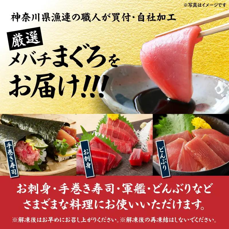 お正月 用 メバチ鮪 セット（ 神奈川県漁連 ） M077-006-01 冷凍 マグロ