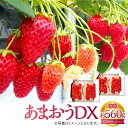 【ふるさと納税】あまおうDX 約280g×2パック 合計560g いちご あまおう 苺 イチゴ ストロベリー フルーツ 果物 冷蔵 福岡県 岡垣町 送料無料 【2025年2月上旬～4月上旬発送予定】