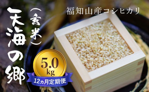 【令和6年産新米】【12ヵ月定期便】京都福知山産コシヒカリ『天海の郷』5kg（玄米）天空に広がる天海の郷 / ふるさと納税 こめ コメ 米 コシヒカリ こしひかり 玄米 定期 12カ月 おいしい 美味しい 美容 健康 天空 雲海 天海の郷 京都府 福知山市 FCCM038