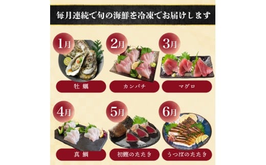 【 高知 の 海鮮 定期便 】 旬 海鮮定期便 6回 お楽しみ 高知 海鮮 かつお タタキ 鯛 タイ 勘八 カンパチ 牡蠣 カキ しらす シラス ウツボ うつぼ 貝 盛合 定期便 6回  半年 高級魚