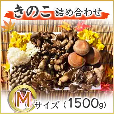 
            きのこの詰め合わせ　Mサイズ(1.500g) (AU001)
          
