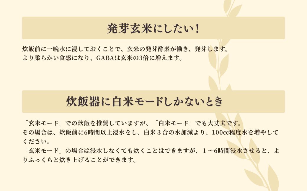 お家で簡単!＜ 熟成玄米ご飯(酵素玄米) ＞手作りセット 3合パック×6個 新潟県弥彦村産コシヒカリ | 新潟県産 玄米 こしひかり お米 こめ コメ 弥彦村産