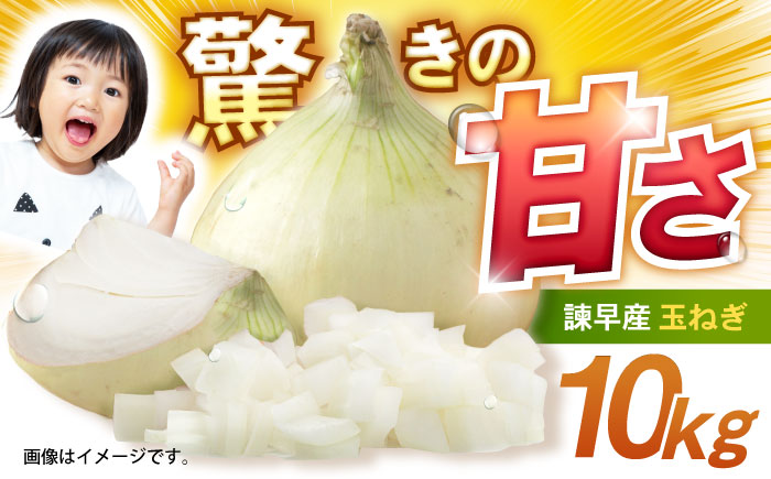 諫早産新玉ねぎ 10kg / 新玉ねぎ 玉ねぎ 玉葱 たまねぎ タマネギ 野菜 やさい 10kg 甘い / 諫早市 / 松尾農園 [AHAY029]