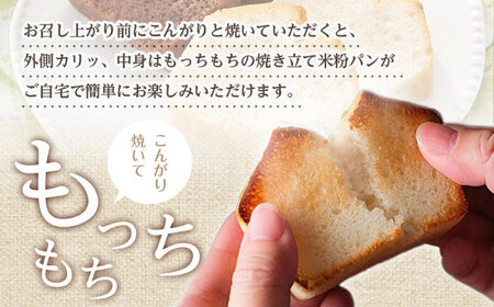グルテンフリー米粉パン ２種類（プレーン、チョコ＆ココア）食パン食べ比べ お試しセット ４本【米粉パン 詰合せ 無添加 長持ち 朝食 長期保存 非常食 広島県 福山市 パン パン パン パン パン】
