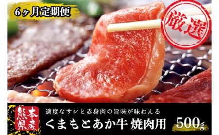 【6ヶ月定期便】GＩ認証 くまもとあか牛 焼肉 500g 定期便 6ヶ月 熊本県産 あか牛 焼肉用 500g 6回 くまもとあか牛 GI認証取得 和牛 国産牛 肉 牛 焼肉 赤身 バーベキュー ギフト 贈答用 阿蘇牧場 熊本 阿蘇 南小国町 送料無料 [H5-5102]
