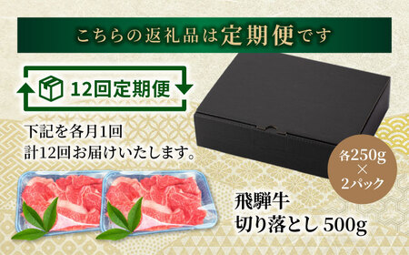 【12回定期便】色んな料理に使いやすい！ 飛騨牛 切り落とし 500g【有限会社マルゴー】 土岐市 岐阜産 肉 牛肉 国産 和牛 牛肉 A5等級 霜降り すき焼き しゃぶしゃぶ 牛丼 カレー ビーフシ