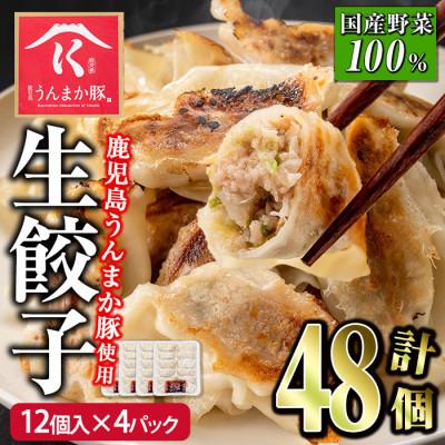 ふるさと納税 さつま町 タレ付き!鹿児島うんまか豚生餃子(計48個・12個入り×4P)