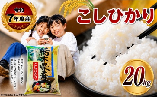 【栃木県共通返礼品】【令和7年度産】栃木県産 こしひかり 白米 5kg × 4袋 （合計20kg） | ふるさと 納税 コシヒカリ お米 精米 白米 玄米 大粒 共通返礼品 送料無料 那珂川町 栃木県
